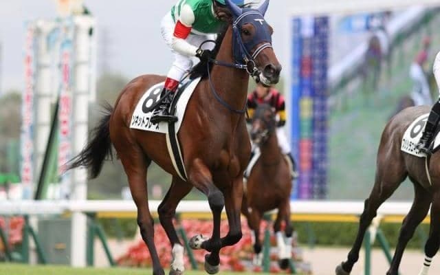 【デイリー杯2歳S展望】伝統の2歳重賞、あの馬の連勝を期待したい