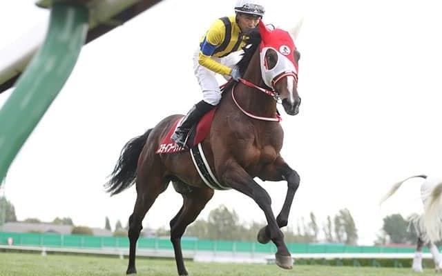 【福島記念想定騎手】ステイフーリッシュは坂井瑠星騎手、アラタは大野拓弥騎手