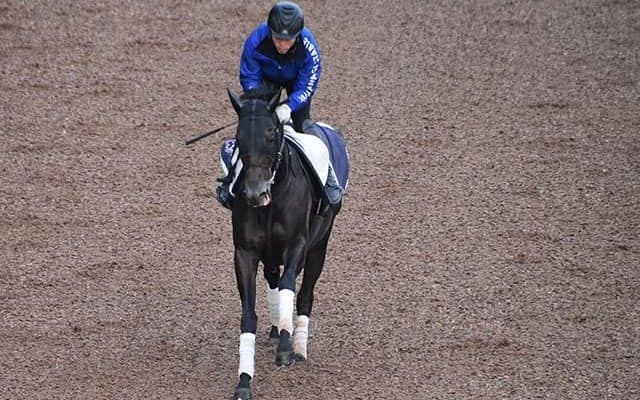 【武蔵野S想定騎手】ソリストサンダーは戸崎圭太騎手、タガノビューティーは石橋脩騎手