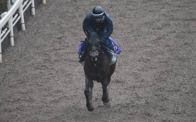 ワグネリアンなど、先週の入厩情報/栗東トレセンニュース