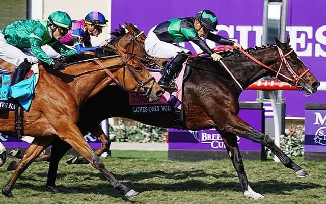 繁殖牝馬としての価値は天井知らず！ 海外でも活躍する“ディープ×ストームキャット”のラヴズオンリーユー