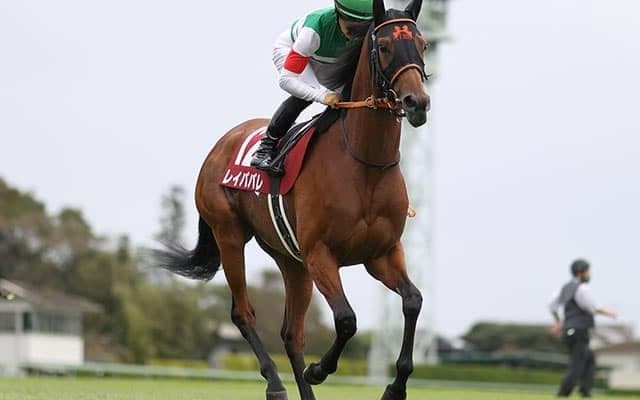 【エリザベス女王杯「見逃せない調教師」ベスト3】管理調教師は阪神芝2200mで複勝率50％。人気でもあの馬には逆らえない!?