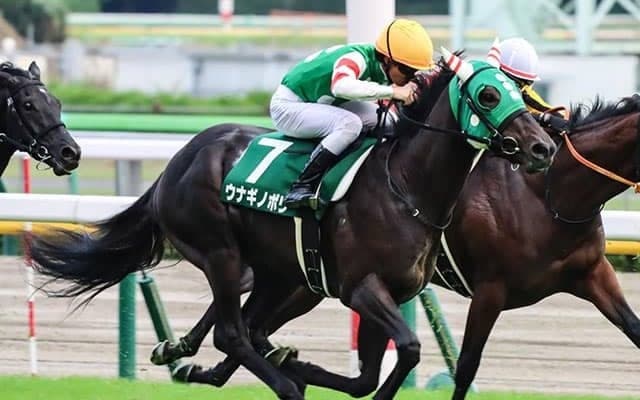 【デイリー杯2歳S 注目馬】「ウナギノボリ」が珍名馬ブームを“沸騰”させるか　