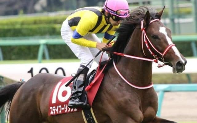 【福島記念予想オッズ】ステイフーリッシュが予想1番人気