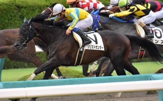 【武蔵野S予想オッズ】昨年の2着馬ソリストサンダーが予想1番人気