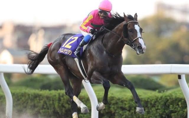 【武蔵野S展望】ダート重賞の中でも屈指のスピードレース