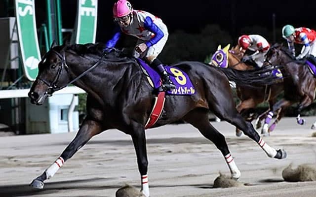 グレイトパールが3連覇！ 年に1度の2500m・九州大賞典で強い勝ち方ができる理由