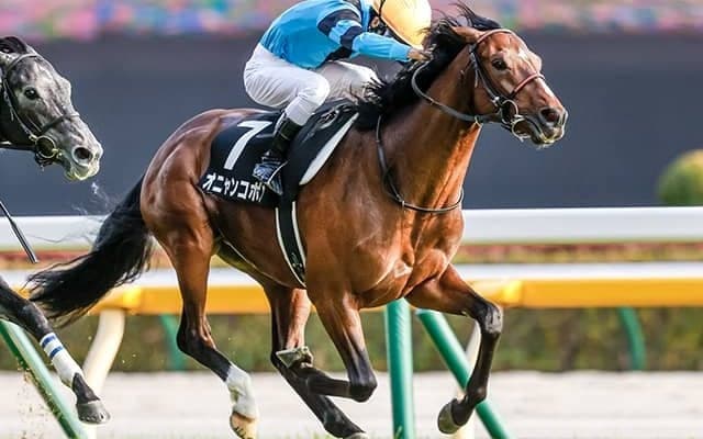 【次走】デビュー2連勝のオニャンコポン　ホープフルSを視野