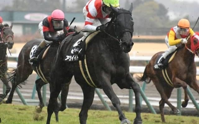 【エリザベス女王杯展望】上位拮抗の女王決定戦、好走の条件とは