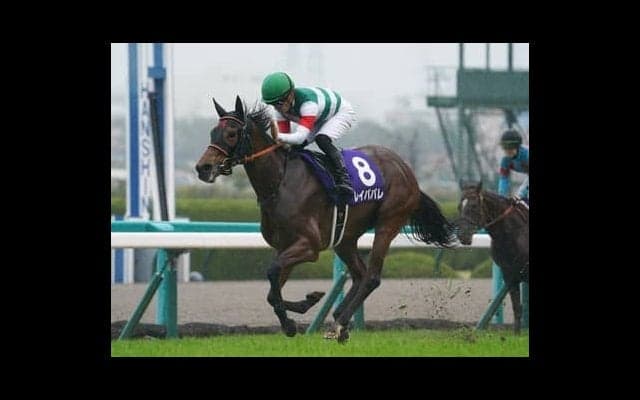 エリザベス女王杯の本命、レイパパレとアカイトリノムスメを徹底比較。もう１頭気になる血統馬も