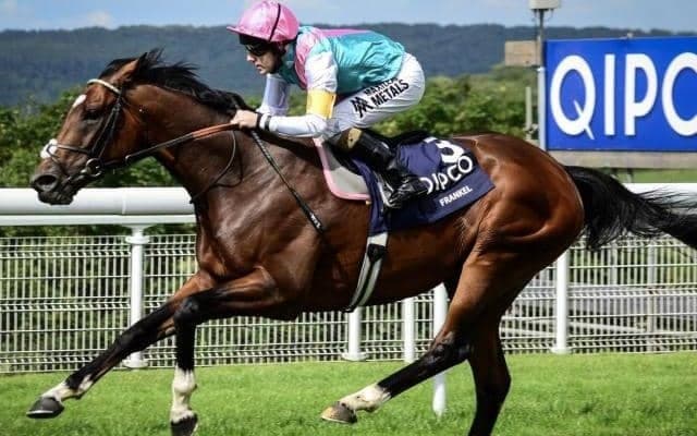 フランケルの種付け料が3000万円突破！　晩年のディープインパクトに匹敵