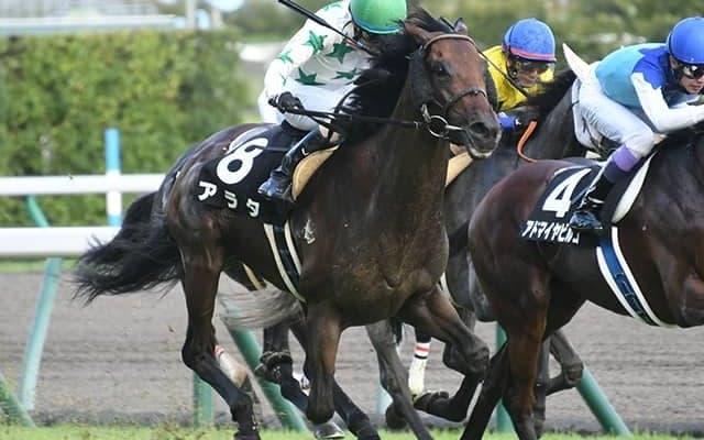 【福島記念出走馬・騎手確定】ステイフーリッシュ＆坂井瑠星騎手、アラタ＆大野拓弥騎手など16頭