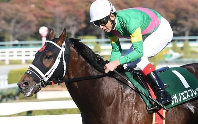 【京都ジャンプS出走馬・騎手確定】タガノエスプレッソ＆平沢健治騎手、ホッコーメヴィウス＆黒岩悠騎手など13頭