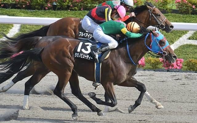 【武蔵野S出走馬・騎手確定】ソリストサンダー＆戸崎圭太騎手、タガノビューティー＆石橋脩騎手など16頭