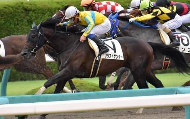 【武蔵野S枠順確定】ソリストサンダーは大外8枠16番、タガノビューティーは1枠1番