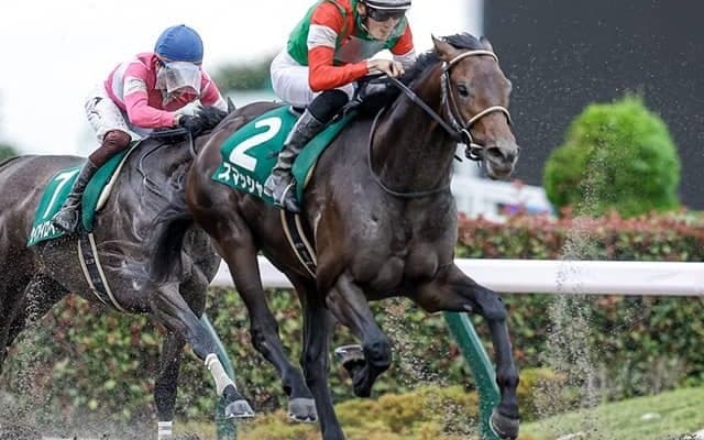 【武蔵野S予想】ダートのマイル巧者が集結！ 実績馬が消える複勝率「0%」の条件とは/JRAレース展望