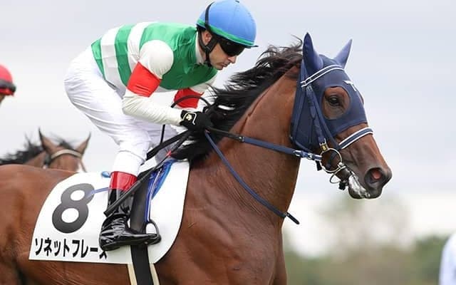 【本日の注目ポイント】阪神でデイリー杯2歳Sと京都JS、東京では武蔵野S