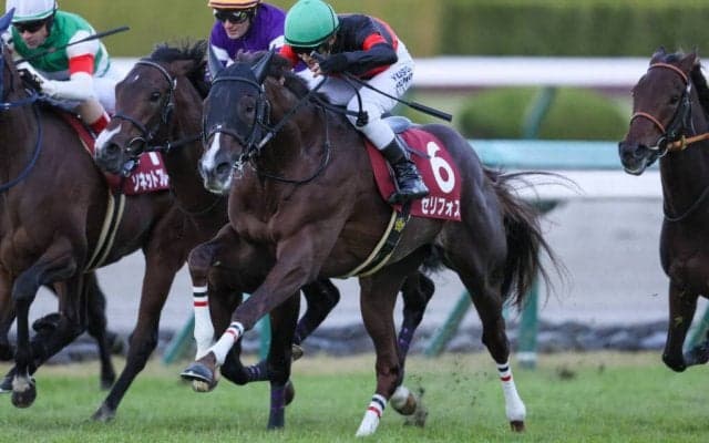 【デイリー杯2歳S】セリフォスが無傷の3連勝