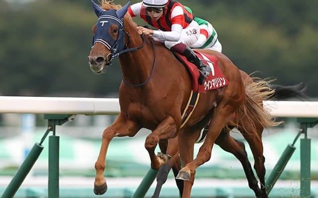 【エリザベス女王杯予想】過去傾向に変化なし!? 積極的な競馬がマイナスの可能性も…/JRAレース展望