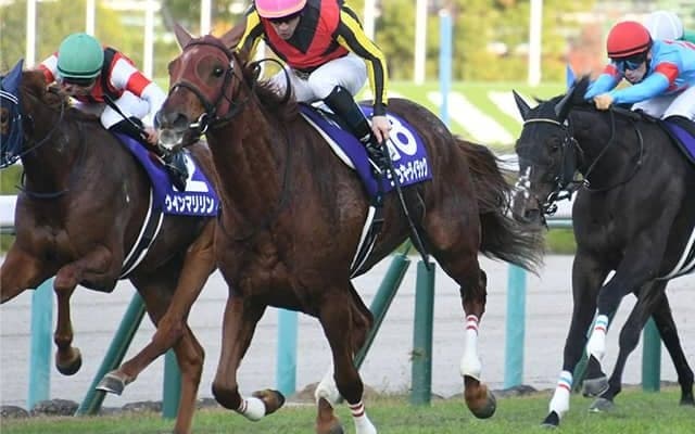 【エリザベス女王杯予想】昨年は「相当なレアケース」!? 宝塚記念と同じ阪神芝2200mで浮上する馬とは