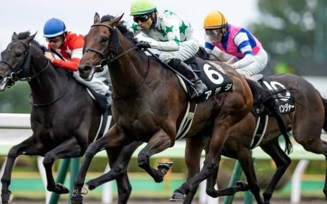 【福島記念前日オッズ】アラタが4.0倍で1番人気、11頭が20倍以下の混戦