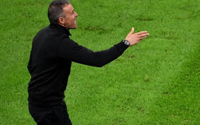 監督が試合中にスコーピオン!? 華のあるチームは指揮官も魅せる、スペイン代表指揮官が見事なテク披露!