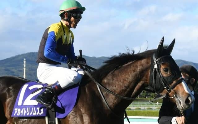 【本日の注目ポイント】秋の女王決定戦・エリザベス女王杯