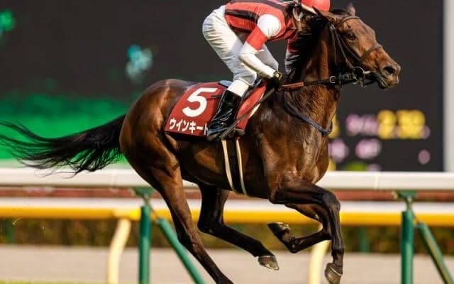 【エリザベス女王杯予想】人気通りに収まることは少なく、一ひねりが必要なレース