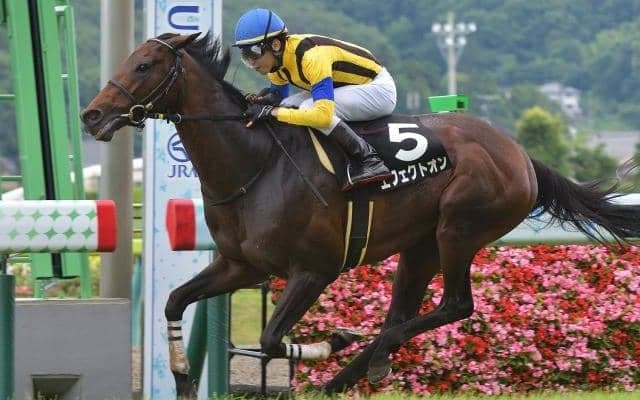 【福島記念予想】小回りコースの適性がある馬を中心視