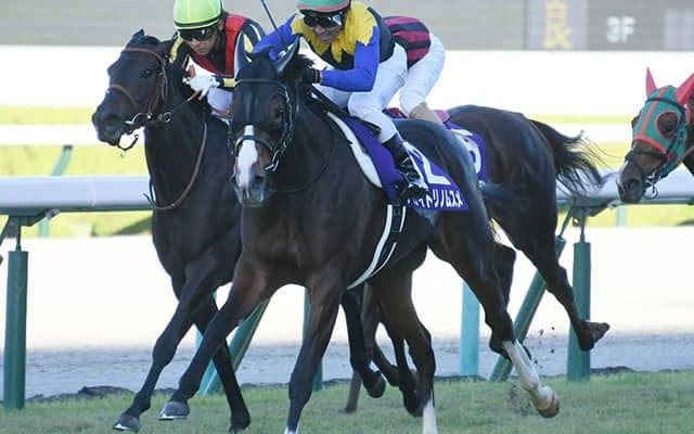 【エリザベス女王杯予想】人気でも妙味あり!? AIは「最強世代」の良血馬に本命◎！