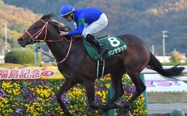 【福島記念結果】パンサラッサが大逃げ決め重賞初V！ロードカナロア産駒はJRA全10場重賞制覇達成