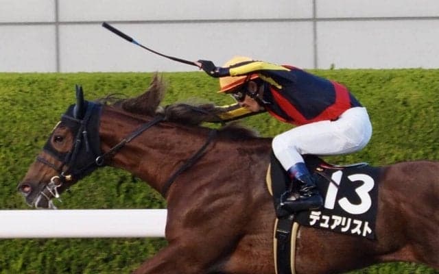 【室町S】デュアリストが好位から抜け出す