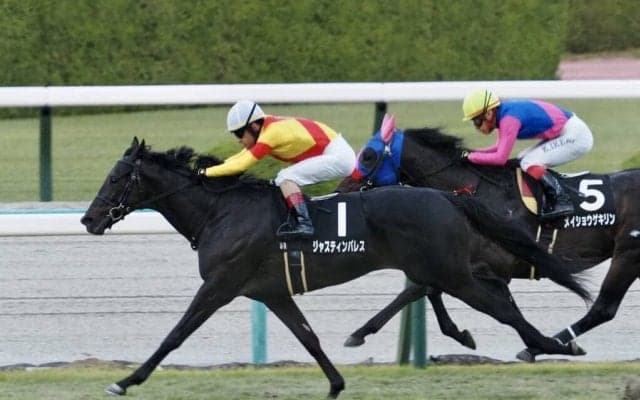 【黄菊賞】ジャスティンパレスがデビュー2連勝