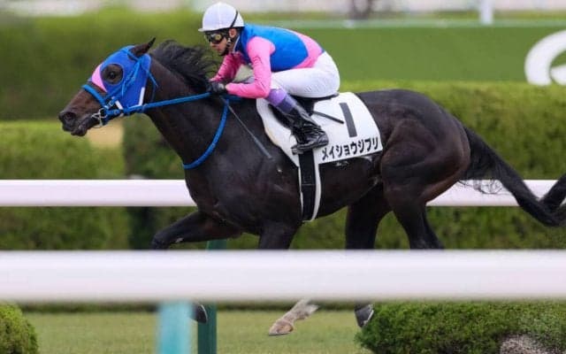 【阪神2R】武豊 メイショウジブリが断然の人気に応える