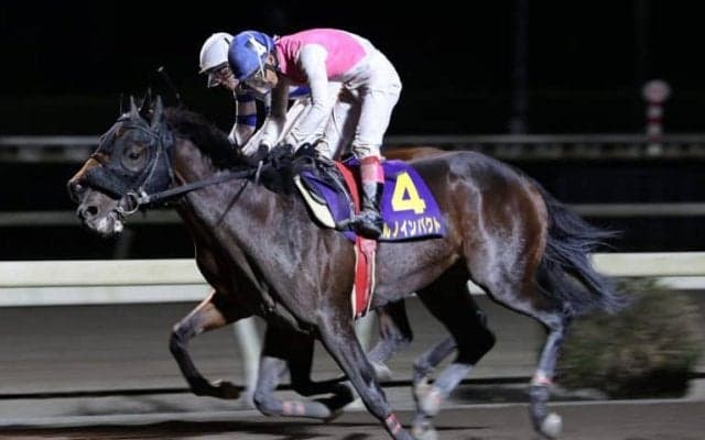 【高知・土佐秋月賞】ハルノインパクト 世代最終戦を制す