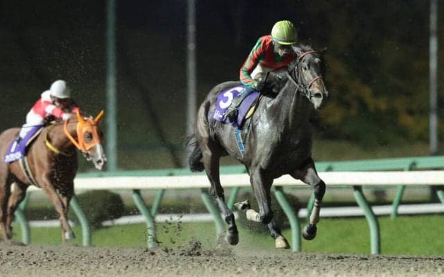 【盛岡・プリンセスC】レディーアーサーが完勝！