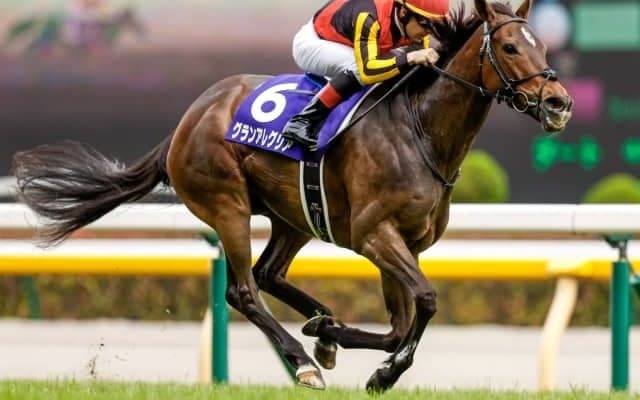 短距離女王が連覇に挑むGIマイルCS/今週の競馬界の見どころ