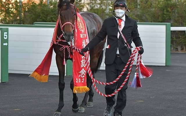 【福島記念】売上は30億7881万9300円で昨年からおよそ6億円の増加