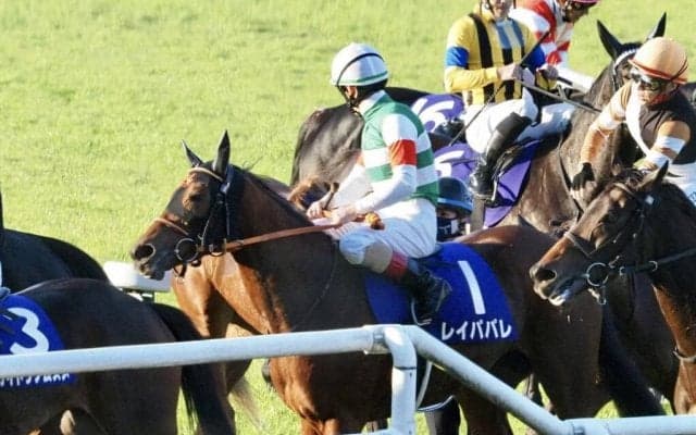 【エリザベス女王杯レース回顧】流れの中心を担ったレイパパレ