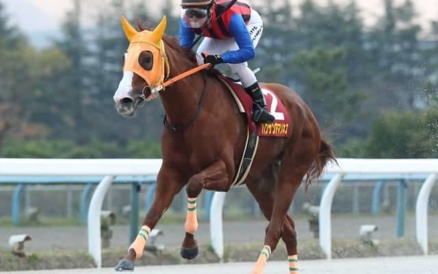 【金沢・読売レディス杯結果】ハクサンアマゾネスが力の違いを見せて重賞10勝目