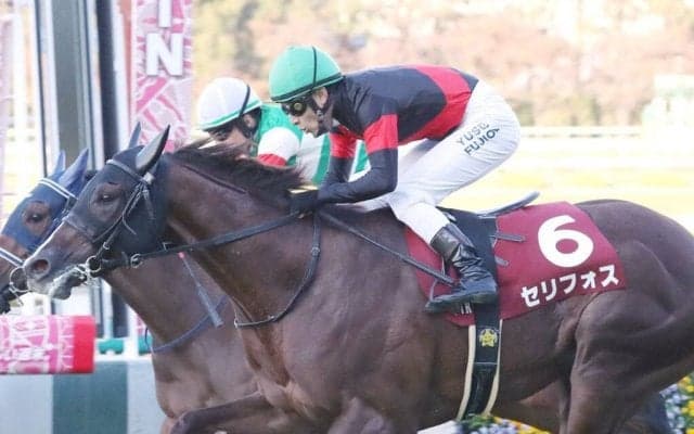 【デイリー杯2歳S】藤岡佑「まだ目一杯という感じではない」セリフォスが無傷の3連勝