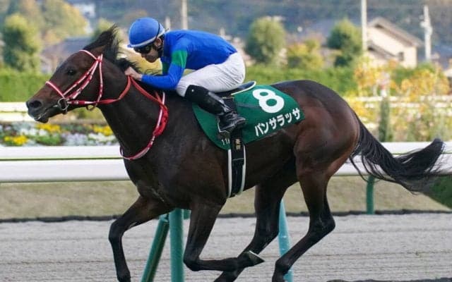 【福島記念】パンサラッサが鮮やかな逃げ切り