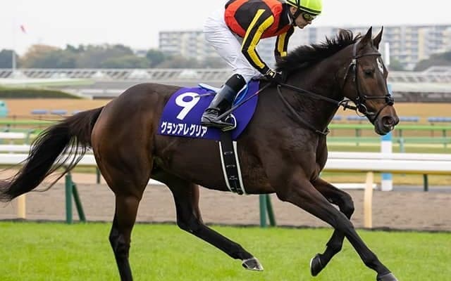 【マイルCS予想】AIが「珍ジャッジ」？ コンピュータに弾き出された週初めの本命馬とは…