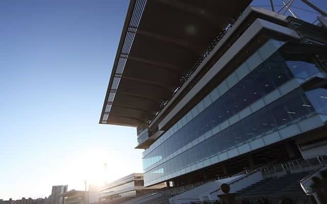 【地方競馬】大井競馬左回りレースの競走名称は「Make New Way 賞」19日に実施