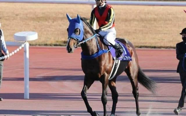 【霜月Sハンデ確定】タイムフライヤーは58.0kg、ヘリオスは57.0kg