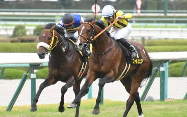 【アンドロメダSハンデ確定】ファルコニアは56.0kg、ラーゴムは54.0kg