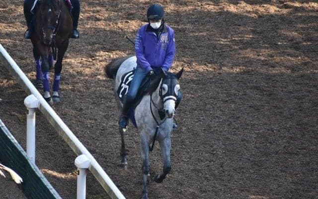 ザズーの2019など、先週の入厩情報/栗東トレセンニュース