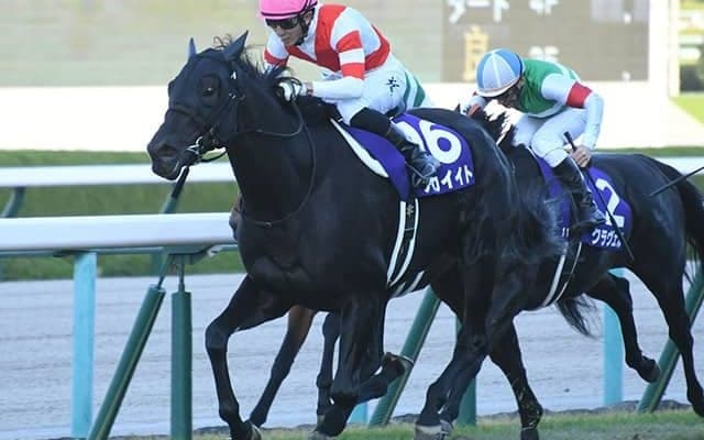 キズナ産駒がGI初勝利＆ワンツーフィニッシュ　同時期に種牡馬デビューしたエピファネイアと比較