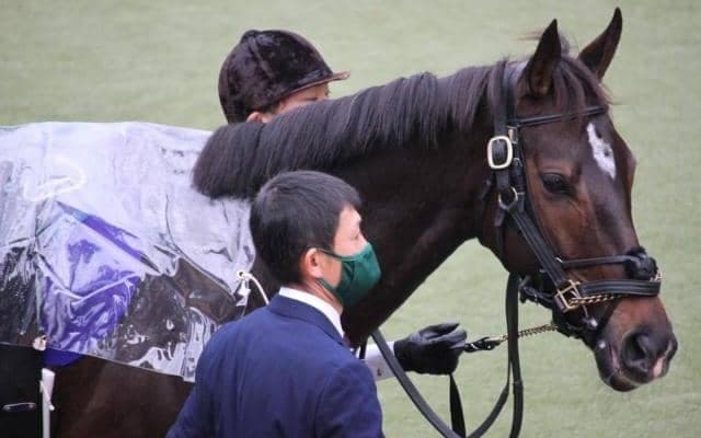 【マイルCS予想オッズ】昨年覇者グランアレグリアが予想1番人気、3歳馬シュネルマイスターが続く