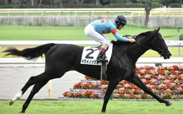 【東京スポーツ杯2歳S予想オッズ】キタサンブラック産駒イクイノックスが予想1番人気